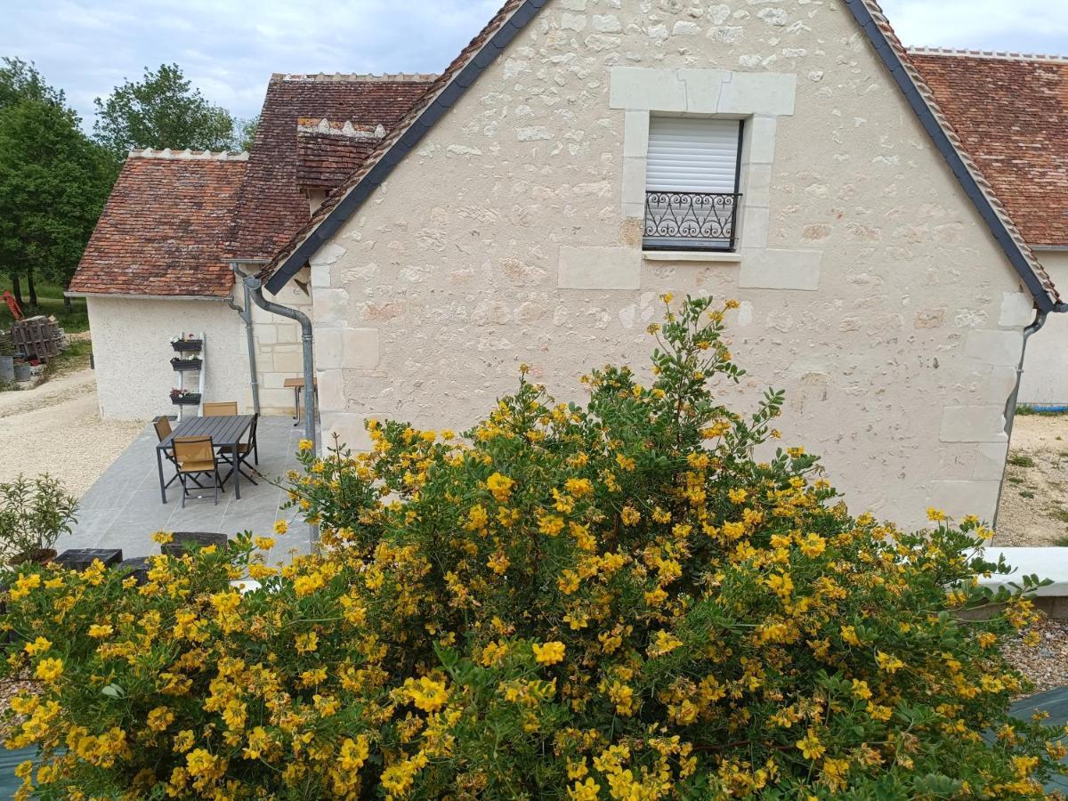 De La Grand Maison Le Noyer Holiday home Seigy